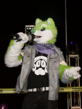 NIIC the Singing Dog performing live on stage